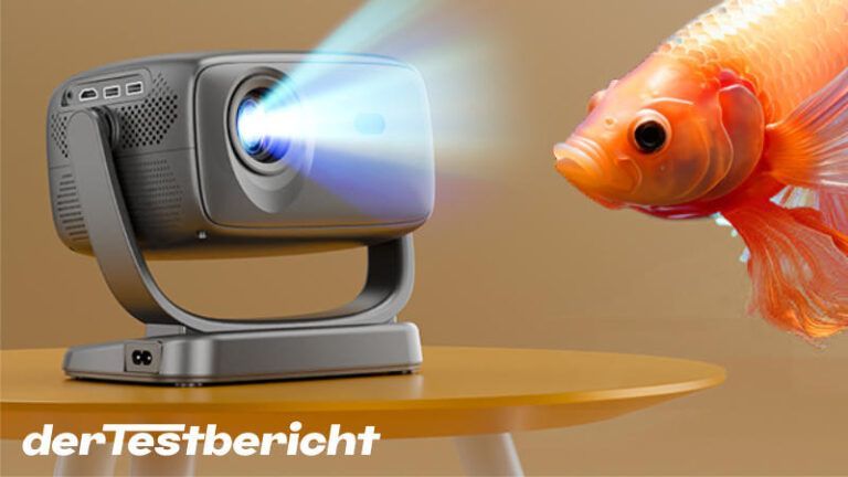 Read more about the article ‎Weejector R2 im Test