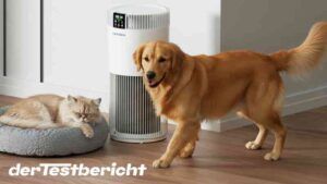Read more about the article DAISTERN KJ321 Smart Luftreiniger im Test