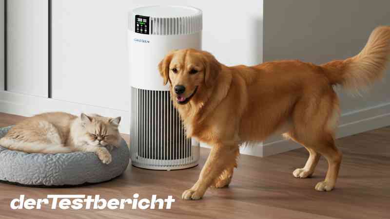 DAISTERN KJ321 Test DAISTERN KJ321 Test